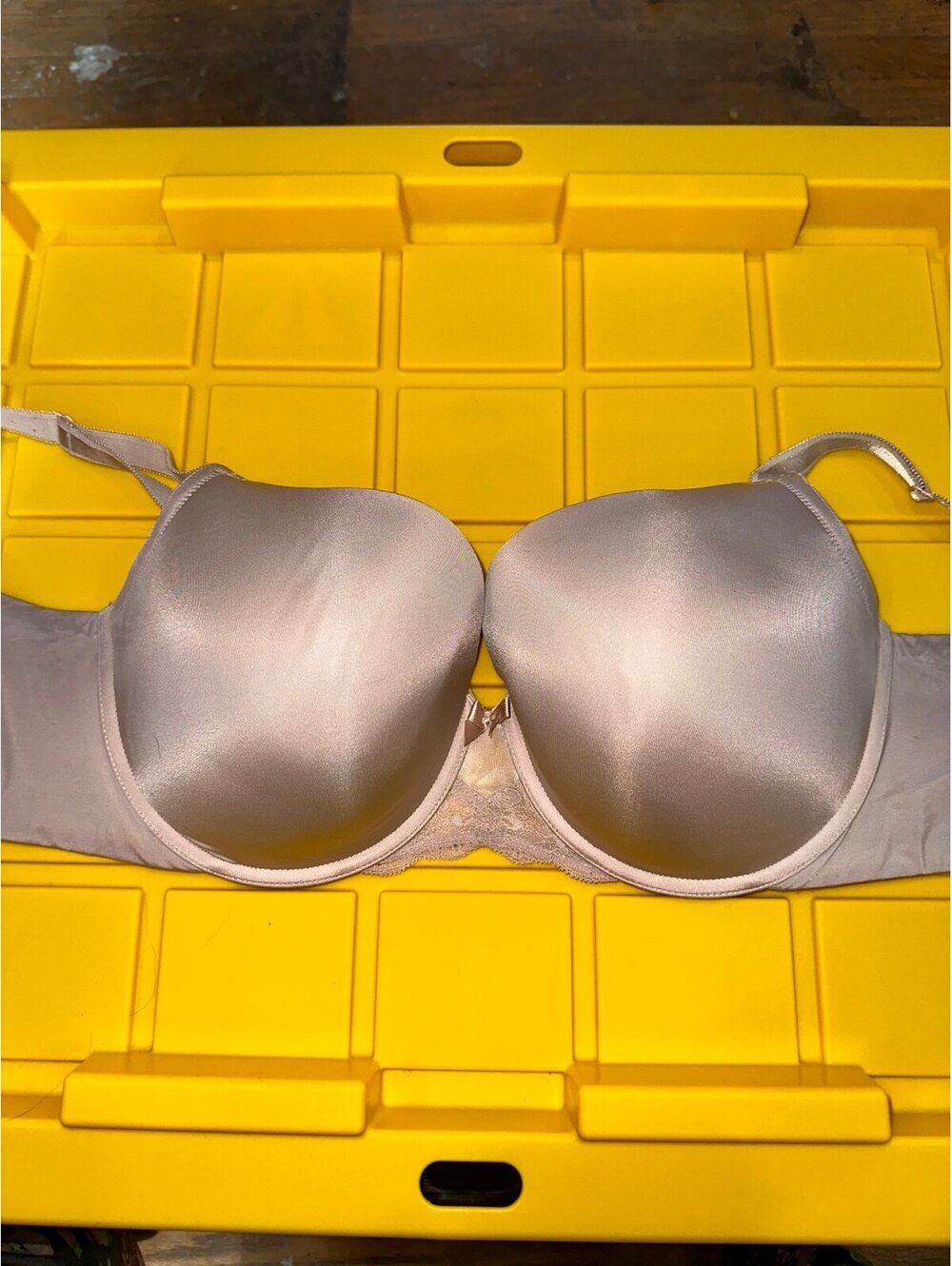 Torrid bra size 40 D